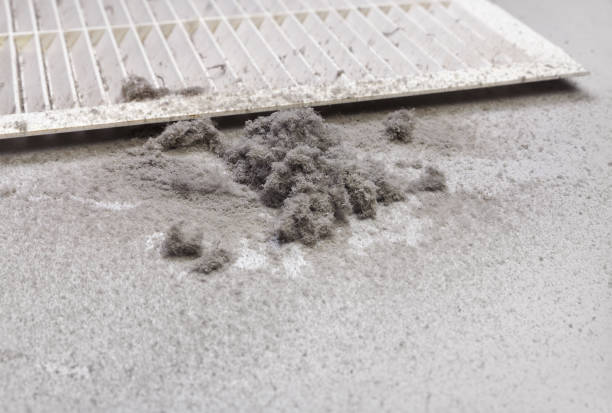 Best Dryer Vent Cleaning Services  in Edwardsvle, IL