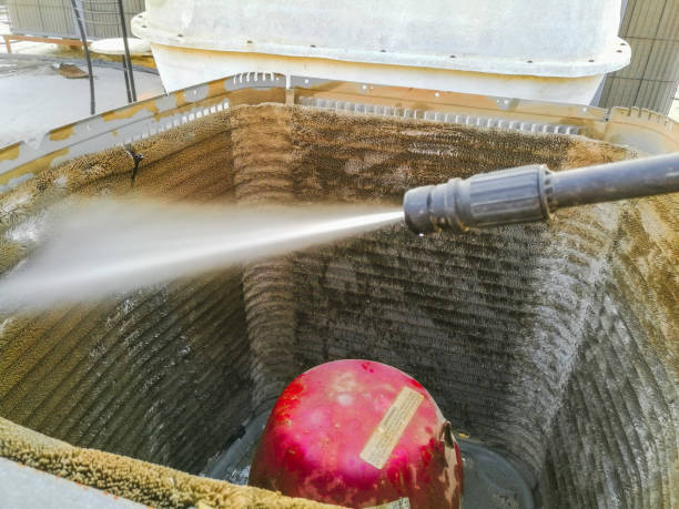 Best Air Duct Mold Removal  in Edwardsvle, IL