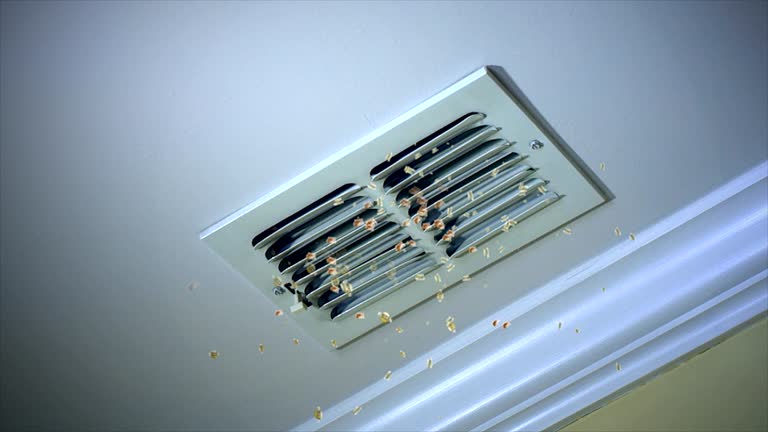 Best Commercial HVAC Duct Cleaning  in Edwardsvle, IL